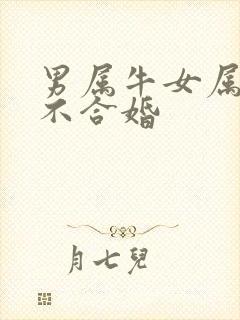 男属牛女属龙合不合婚