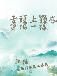 舌头上颚感觉像烫伤一样