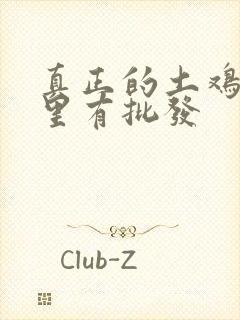 真正的土鸡苗哪里有批发