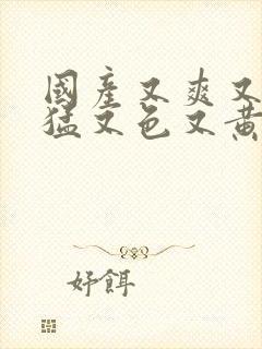 国产又爽又粗又猛又色又黄