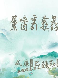 尿味重黄是什么原因引起的