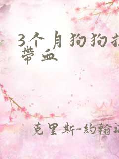 3个月狗狗拉稀带血