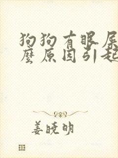 狗狗有眼屎是什么原因引起的