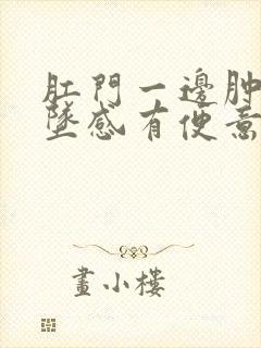 肛门一边肿痛下坠感有便意