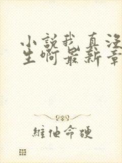 小说我真没想重生啊最新章节列表