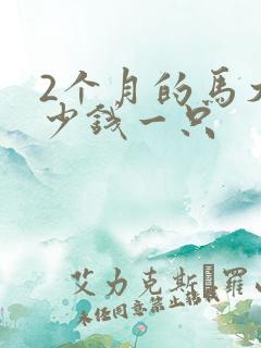 2个月的马犬多少钱一只