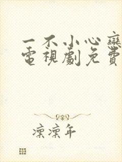 一不小心恋爱了电视剧免费