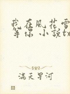 我在风花雪月里等你 小说txt下载