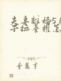 夫妻离婚5岁孩子抚养权怎么判定