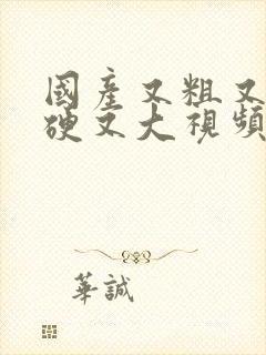 国产又粗又长又硬又大视频