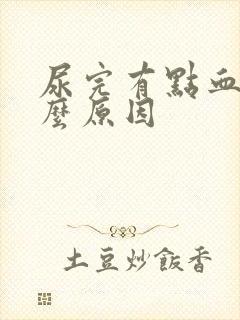 尿完有点血是什么原因