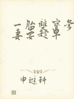 一胎双宝爹地宠妻要趁早