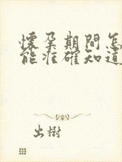 怀孕期间怎么才能准确知道孩子的亲生父亲