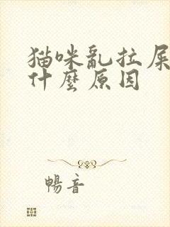 猫咪乱拉屎拉尿什么原因