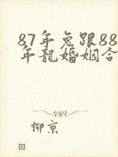 87年兔跟88年龙婚姻合吗