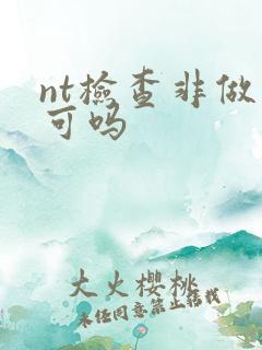 nt检查非做不可吗