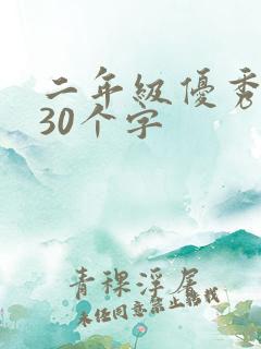 二年级优秀日记30个字