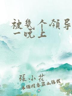 被几个领导玩弄一晚上