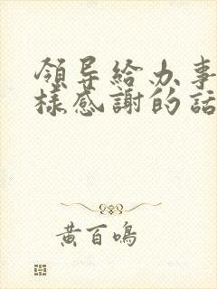 领导给办事了怎样感谢的话