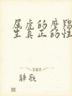 属虎的摩羯座男生真正的性格