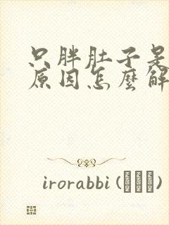 只胖肚子是什么原因怎么解决