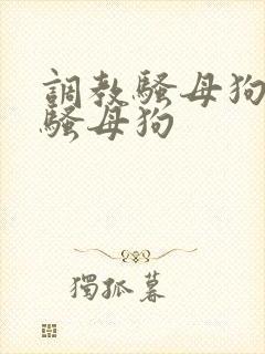 调教骚母狗辱骂骚母狗