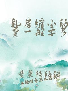 乳房缩小的手术费一般要多少