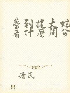 梦到捉大蛇预示着什么周公解梦