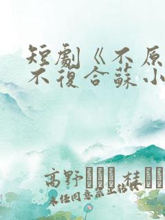 短剧《不原谅,不复合苏小姐独美》