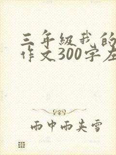 三年级我的同桌作文300字左右