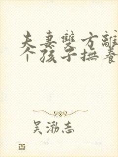 夫妻双方离婚两个孩子抚养权会怎么判决