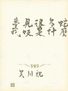 梦见很多蛇追着我咬是什么预兆