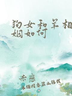 狗女和羊相配婚姻如何