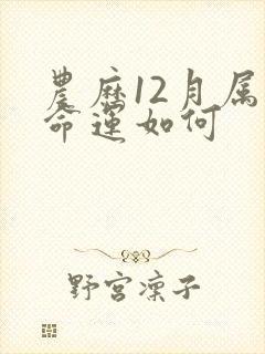 农历12月属马命运如何