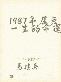1987年属兔一生的命运怎么样