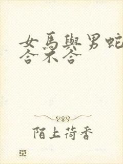 女马与男蛇属相合不合