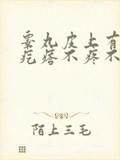 睾丸皮上有白色疙瘩不疼不痒