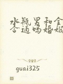 水瓶男和金牛女合适吗婚姻