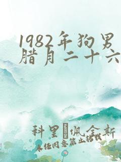 1982年狗男腊月二十六婚姻怎么样