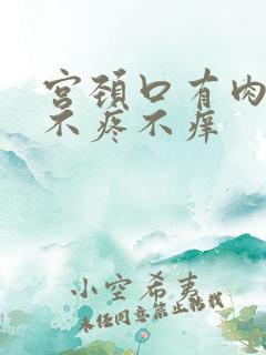 宫颈口有肉疙瘩不疼不痒