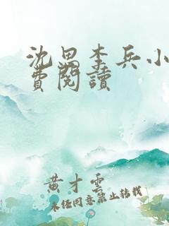 沈思李兵小说免费阅读