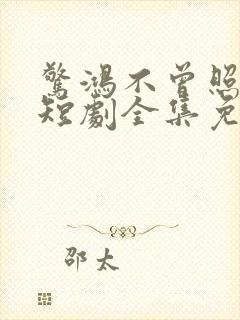 惊鸿不曾照影来短剧全集免费观看