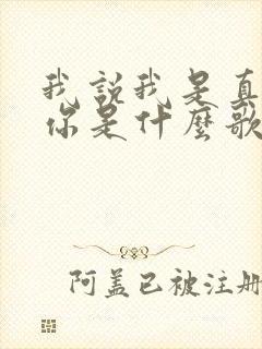 我说我是真的爱你是什么歌的歌词