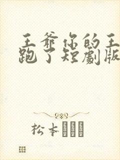 王爷你的王妃又跑了短剧版