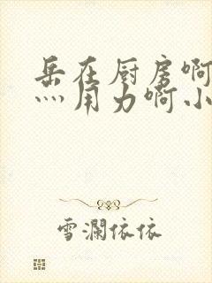 岳在厨房啊灬啊灬用力啊小说