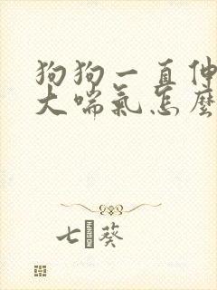 狗狗一直伸舌头大喘气怎么回事