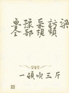 鲁豫采访梁家辉全部视频