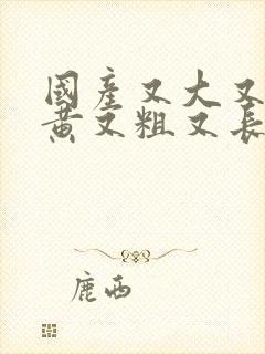 国产又大又长又黄又粗又长的视频