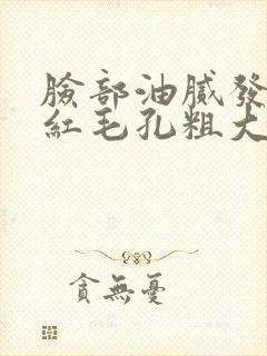 脸部油腻发热发红毛孔粗大