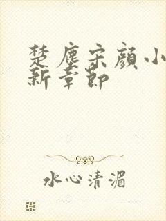 楚尘宋颜小说最新章节